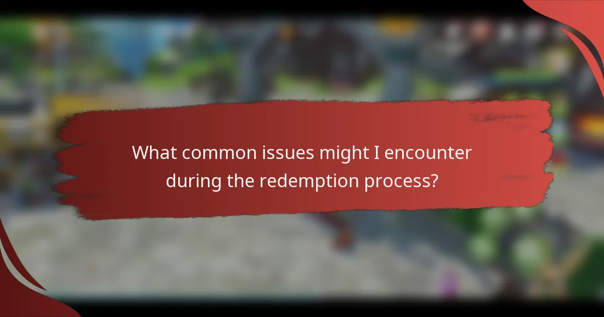 What common issues might I encounter during the redemption process?